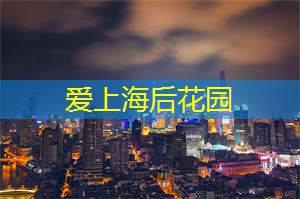 上海新茶工作室：上海茶庄与旅游：不可错过的文化体验