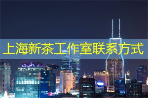 上海各区新茶工作室：如何选择适合自己的运动项目