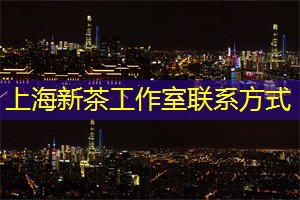 上海娱乐网：传统美食与茶点的搭配，上海茶庄的探索之旅