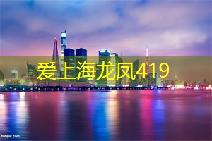 爱上海419论坛：浪漫与创意同在！上海工作室打造办公新风尚！